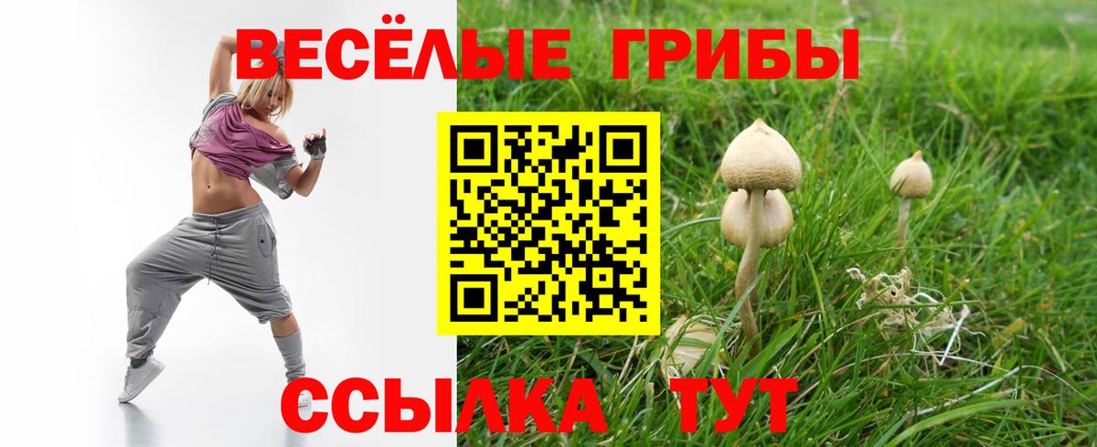 Псилоцибиновые грибы Psilocybine cubensis Воскресенск